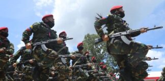 FANB prohíbe uso de WhatsApp e Instagram a militares por falta de «madurez profesional» FANB prohíbe uso de WhatsApp e Instagram a militares por falta de "madurez profesional"