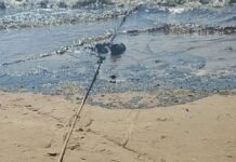 Denuncian estragos del derrame de petróleo en Amuay y Punta Cardón Denuncian estragos del derrame de petróleo en Amuay y Punta Cardón