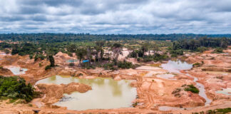 SOS Orinoco pide a la FANB desmantelar una mina en el sur de Venezuela SOS Orinoco pide a la FANB desmantelar una mina en el sur de Venezuela