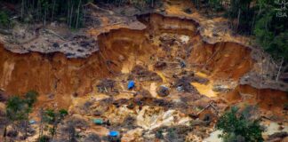 Fundaredes: Régimen de Maduro es complaciente con la práctica de la minería ilegal en Venezuela Fundaredes: Régimen de Maduro es complaciente con la práctica de la minería ilegal en Venezuela