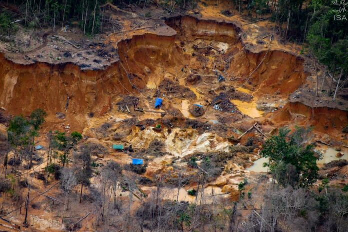 Fundaredes: Régimen de Maduro es complaciente con la práctica de la minería ilegal en Venezuela Fundaredes: Régimen de Maduro es complaciente con la práctica de la minería ilegal en Venezuela