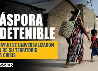 Los Wayuu se universalizaron, huyen de su territorio por la crisis