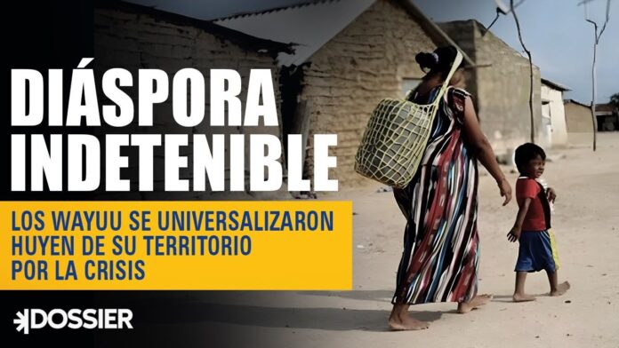 Los Wayuu se universalizaron, huyen de su territorio por la crisis Los Wayuu se universalizaron, huyen de su territorio por la crisis