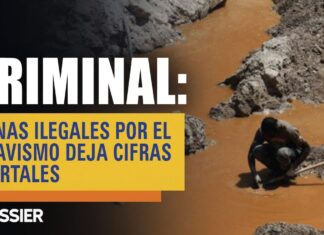 Ecocidio criminal: minas ilegales por el chavismo deja cifras mortales