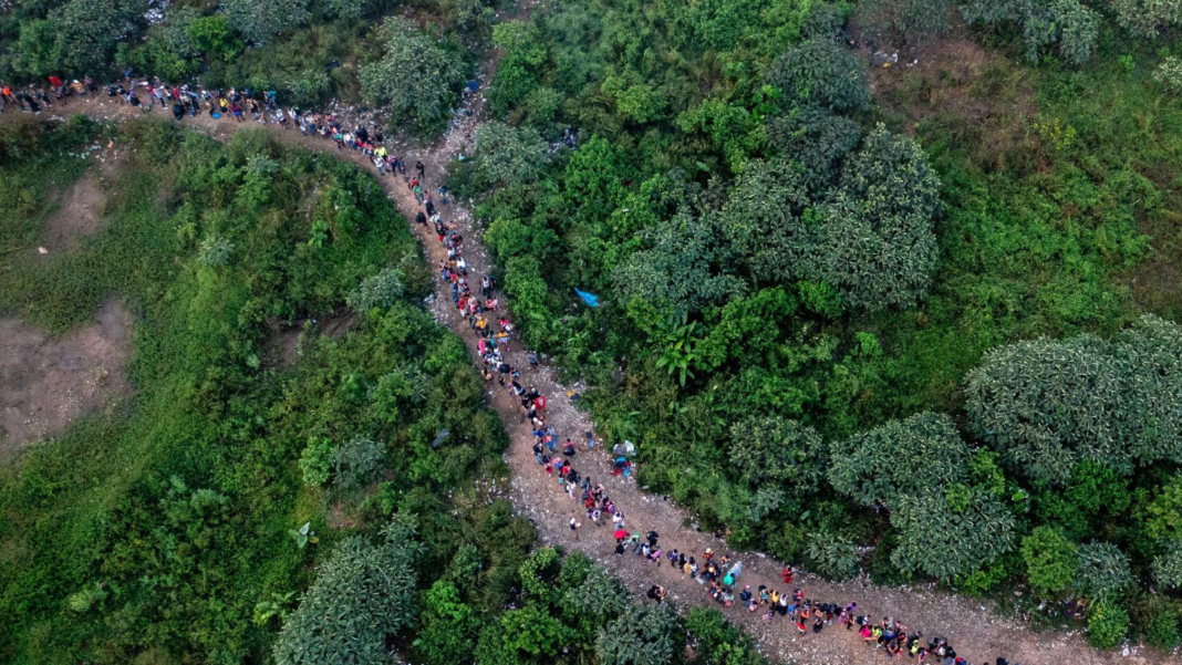 Venezolano falleció por infarto intentando cruzar la selva del Darién Venezolano falleció por infarto intentando cruzar la selva del Darién