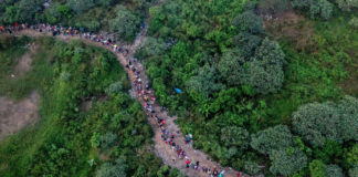 Venezolano falleció por infarto intentando cruzar la selva del Darién Venezolano falleció por infarto intentando cruzar la selva del Darién