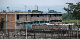 Los horrores que sobreviven los detenidos en Tocuyito: “No como porque la comida tiene gusanos” Los horrores que sobreviven los detenidos en Tocuyito: “No como porque la comida tiene gusanos”