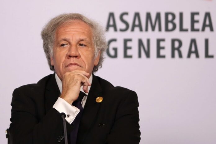 Luis Almagro repudia el secuestro y tortura de menores de edad en Venezuela: «Son torturados con descargas eléctricas y golpes» Luis Almagro repudia el secuestro y tortura de menores de edad en Venezuela: "Son torturados con descargas eléctricas y golpes"