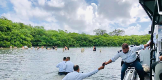 Amnistía Internacional: Desde el 2021 más de 1.300 venezolanos han sido detenidos y deportados sin garantías legales ni protección adecuada Amnistía Internacional: Desde el 2021 más de 1.300 venezolanos han sido detenidos y deportados sin garantías legales ni protección adecuada