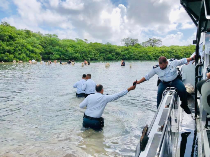 Amnistía Internacional: Desde el 2021 más de 1.300 venezolanos han sido detenidos y deportados sin garantías legales ni protección adecuada Amnistía Internacional: Desde el 2021 más de 1.300 venezolanos han sido detenidos y deportados sin garantías legales ni protección adecuada