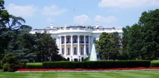 ¿Qué rol tendrán frente a Venezuela Kamala Harris o Donald Trump si ganan la presidencia de Estados Unidos? ¿Qué rol tendrán frente a Venezuela Kamala Harris o Donald Trump si ganan la presidencia de Estados Unidos?