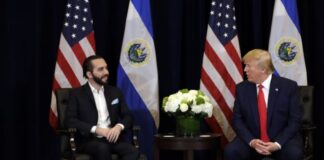 Donald Trump y Nayib Bukele hablaron sobre posibilidad de trabajar juntos contra el Tren de Aragua Donald Trump y Nayib Bukele hablaron sobre posibilidad de trabajar juntos contra el Tren de Aragua