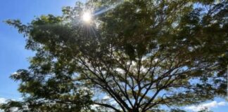 Familiares de 11 presos políticos poselectorales de Trujillo esperan las excarcelación de sus seres queridos Familiares de 11 presos políticos poselectorales de Trujillo esperan las excarcelación de sus seres queridos