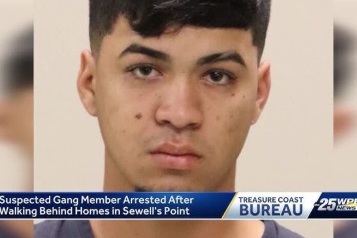 Autoridades arrestan a pandillero del Tren de Aragua en el sur de Florida, Estados Unidos: «Si hay uno, es probable que hayan más» Autoridades arrestan a pandillero del Tren de Aragua en el sur de Florida, Estados Unidos: "Si hay uno, es probable que hayan más"