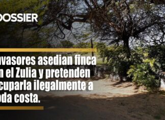Invasores asedian finca en el Zulia y pretenden ocupar ilegalmente a toda costa Invasores asedian finca en el Zulia y pretenden ocupar ilegalmente a toda costa