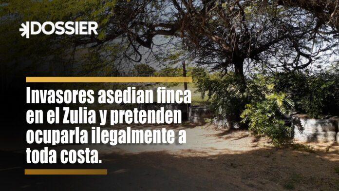 Invasores asedian finca en el Zulia y pretenden ocupar ilegalmente a toda costa Invasores asedian finca en el Zulia y pretenden ocupar ilegalmente a toda costa