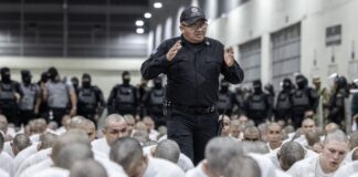 Desaparición forzada: El delito que Nicolás Maduro reclama a Estados Unidos y El Salvador, pero ignora en Venezuela Desaparición forzada: El delito que Nicolás Maduro reclama a Estados Unidos y El Salvador, pero ignora en Venezuela