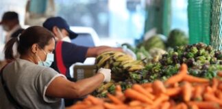La Canasta Alimentaria Familiar supera los $526 en marzo: se requieren 283 salarios mínimos para cubrirla La Canasta Alimentaria Familiar supera los $526 en marzo: se requieren 283 salarios mínimos para cubrirla