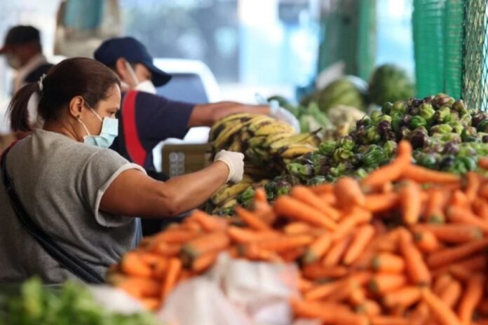 La Canasta Alimentaria Familiar supera los $526 en marzo: se requieren 283 salarios mínimos para cubrirla La Canasta Alimentaria Familiar supera los $526 en marzo: se requieren 283 salarios mínimos para cubrirla