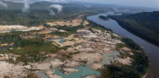Día de la Tierra 2025: Venezuela entre la emergencia climática y el abandono institucional Día de la Tierra 2025: Venezuela entre la emergencia climática y el abandono institucional
