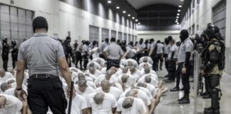 Carolina Jaimes Branger | Implicaciones y destino de los presos inocentes Carolina Jaimes Branger | Implicaciones y destino de los presos inocentes