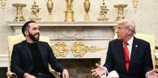 Donald Trump en reunión con Nayib Bukele: «Venezuela ya no tiene dinero, Maduro sabe lo que tiene que hacer» Donald Trump en reunión con Nayib Bukele: "Venezuela ya no tiene dinero, Maduro sabe lo que tiene que hacer"