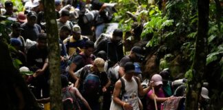 De enero a marzo de 2025 se redujo en 95% cifra de venezolanos que cruzaron la selva del Darién De enero a marzo de 2025 se redujo en 95% cifra de venezolanos que cruzaron la selva cel Darién