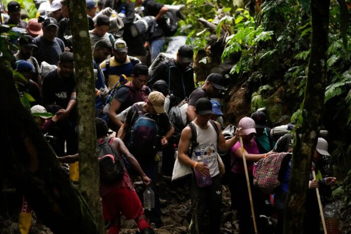 De enero a marzo de 2025 se redujo en 95% cifra de venezolanos que cruzaron la selva del Darién De enero a marzo de 2025 se redujo en 95% cifra de venezolanos que cruzaron la selva cel Darién