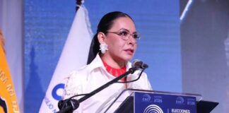 «Es lamentable que se pretenda comparar el proceso electoral de Ecuador con el de Venezuela» «Es lamentable que se pretenda comparar el proceso electoral de Ecuador con el de Venezuela»