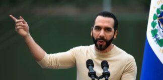 Nayib Bukele propone a Nicolás Maduro un canje humanitario: migrantes deportados por presos políticos Nayib Bukele propone a Nicolás Maduro un canje humanitario: migrantes deportados por presos políticos