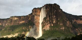 SOS Orinoco denuncia devastación minera ilegal en Canaima y advierte impacto nacional en energía y biodiversidad SOS Orinoco denuncia devastación minera ilegal en Canaima y advierte impacto nacional en energía y biodiversidad