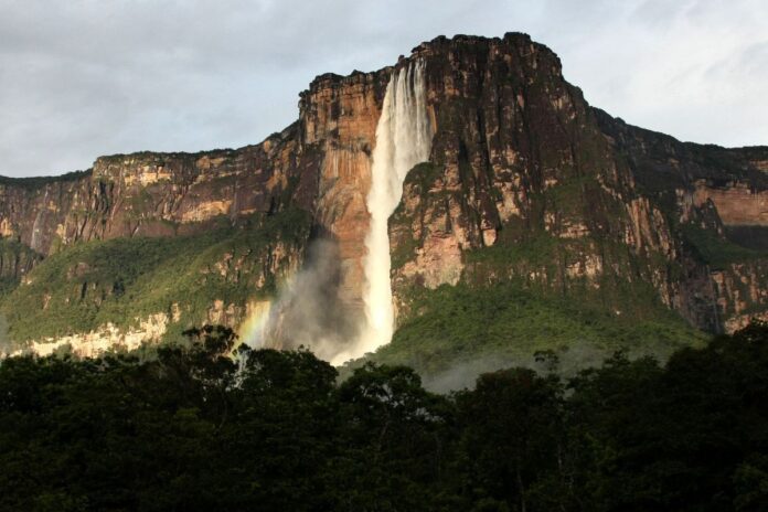 SOS Orinoco denuncia devastación minera ilegal en Canaima y advierte impacto nacional en energía y biodiversidad SOS Orinoco denuncia devastación minera ilegal en Canaima y advierte impacto nacional en energía y biodiversidad