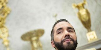 Canje propuesto por Nayib Bukele divide opiniones entre defensores de Derechos Humanos venezolanos Canje propuesto por Nayib Bukele divide opiniones entre defensores de Derechos Humanos venezolanos