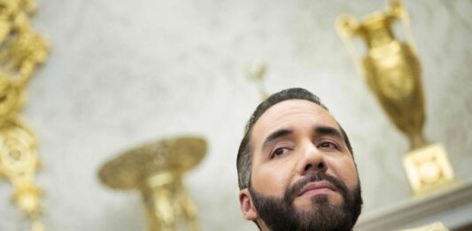 Canje propuesto por Nayib Bukele divide opiniones entre defensores de Derechos Humanos venezolanos