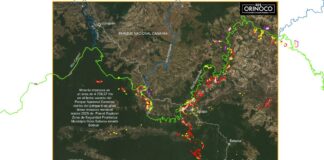 Organizaciones ambientalistas denuncian que minería ilegal destruye ecosistemas del Parque Nacional Canaima Organizaciones ambientalistas denuncian que minería ilegal destruye ecosistemas del Parque Nacional Canaima