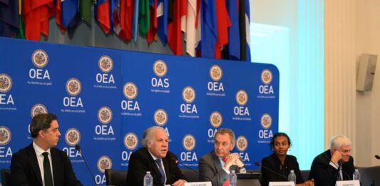Expertos de la OEA acusan al régimen de Nicolás Maduro de atacar sistemáticamente a la población en Venezuela