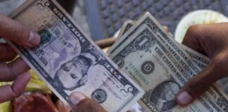 Régimen de Nicolás Maduro informa detención de 20 personas relacionadas con el dólar paralelo Régimen de Nicolás Maduro informa detención de 20 personas relacionadas con el dólar paralelo