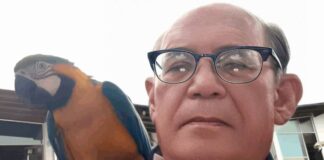 Las claves de la «Operación Guacamaya» según relato de Omar González, uno de los opositores recatados de la Embajada de Argentina en Caracas Las claves de la "Operación Guacamaya" según relato de Omar González, uno de los opositores recatados de la Embajada de Argentina en Caracas