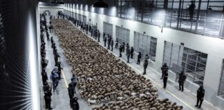 Juez federal de Texas declara ilegal el uso de ley de 1798 por parte de Donald Trump para deportar a venezolanos Juez federal de Texas declara ilegal el uso de ley de 1798 por parte de Donald Trump para deportar a venezolanos