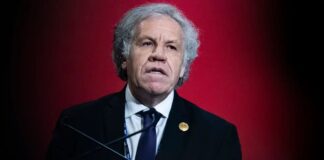 Luis Almagro asegura que la CPI tiene elementos suficientes para procesar y capturar a Nicolás Maduro Luis Almagro asegura que la CPI tiene elementos suficientes para procesar y capturar a Nicolás Maduro