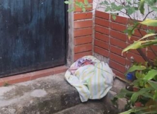 Neonato fue abandonado frente a una casa en el Área Metropolitana de Caracas Neonato fue abandonado frente a una casa en el Área Metropolitana de Caracas