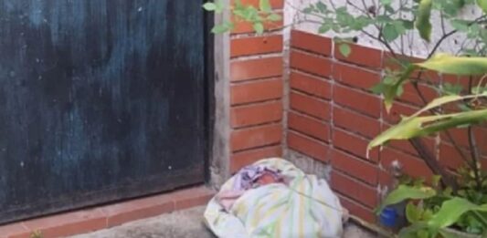 Neonato fue abandonado frente a una casa en el Área Metropolitana de Caracas