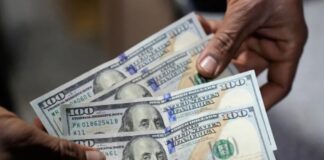 Régimen de Nicolás Maduro ha detenido 25 personas relacionadas por la promoción del dólar paralelo Régimen de Nicolás Maduro ha detenido 25 personas relacionadas por la promoción del dólar paralelo