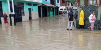 Testimonio de un damnificado por las lluvias en Venezuela: “Mi ángel de la guarda me dijo que me devolviera a mi casa y pude salvar a mi familia” Testimonio de un damnificado por las lluvias en Venezuela: “Mi ángel de la guarda me dijo que me devolviera a mi casa y pude salvar a mi familia”