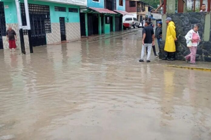 Testimonio de un damnificado por las lluvias en Venezuela: “Mi ángel de la guarda me dijo que me devolviera a mi casa y pude salvar a mi familia” Testimonio de un damnificado por las lluvias en Venezuela: “Mi ángel de la guarda me dijo que me devolviera a mi casa y pude salvar a mi familia”