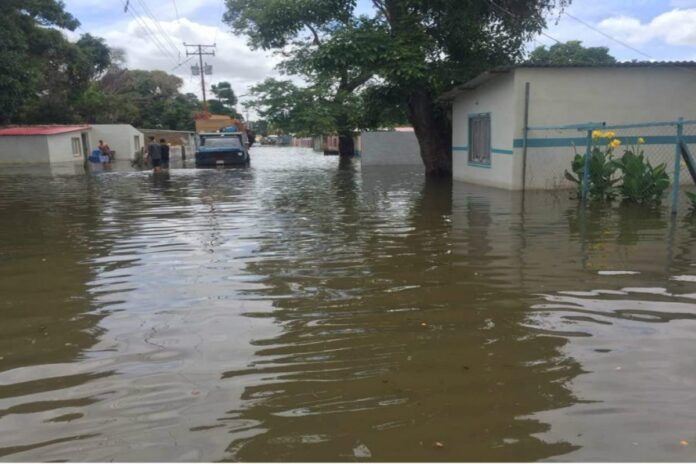 Crecida histórica del Orinoco mantiene en emergencia a los estados Amazonas y Bolívar Crecida histórica del Orinoco mantiene en emergencia a los estados Amazonas y Bolívar