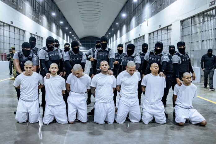 AFP: El Salvador «desaparece» a los venezolanos deportados por Donald Trump AFP: El Salvador "desaparece" a los venezolanos deportados por Donald Trump