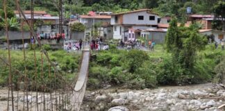 «Al menos 150 hectáreas quedaron destruidas por las lluvias en la región andina» "Al menos 150 hectáreas quedaron destruidas por las lluvias en la región andina"