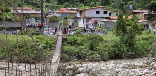 "Al menos 150 hectáreas quedaron destruidas por las lluvias en la región andina"