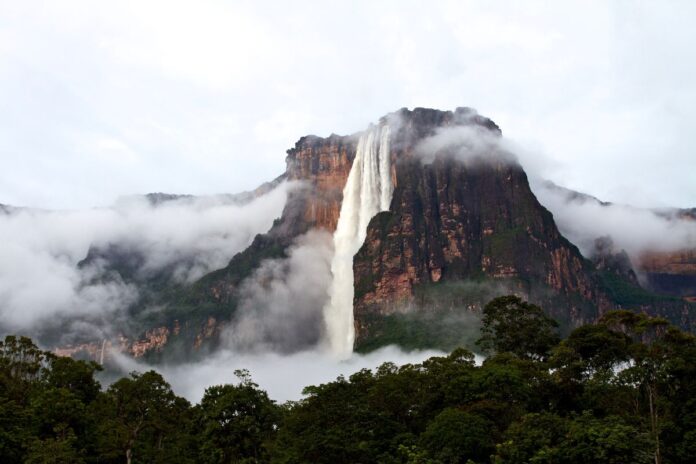 El País de España: Canaima, un patrimonio natural mundial amenazado entre la minería y el turismo descontrolado El País de España: Canaima, un patrimonio natural mundial amenazado entre la minería y el turismo descontrolado